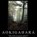 Aokigahara est une forêt de 35 km², connue pour le nombre élevé de morts retrouvés depuis les années 1950, pour la plupart dues à des suicides. Cette forêt serait hantée par des esprits errants.